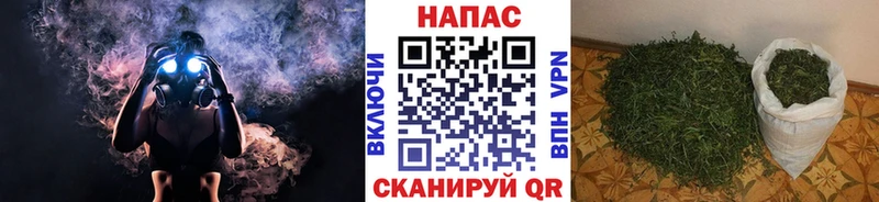 Бошки Шишки Amnesia  закладка  мориарти официальный сайт  Елизаветинская 